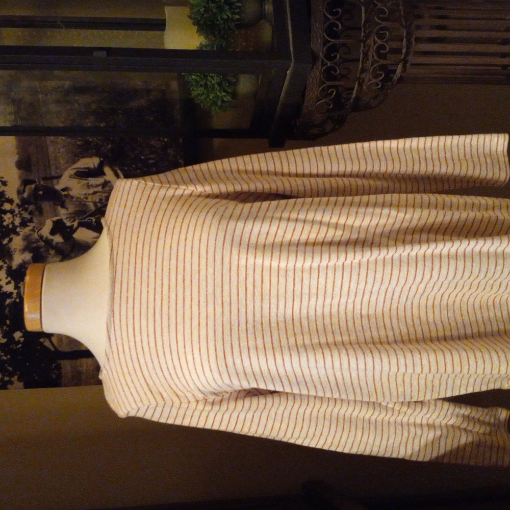 Jjill tunic length top xl